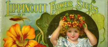 Postcard for Lippincott Flower Seeds featuring young girl and nasturtiums