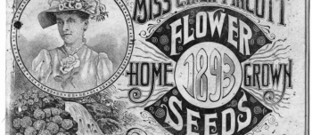 Postcard Image 1893 Miss C.H. Lippincott Flower Seeds